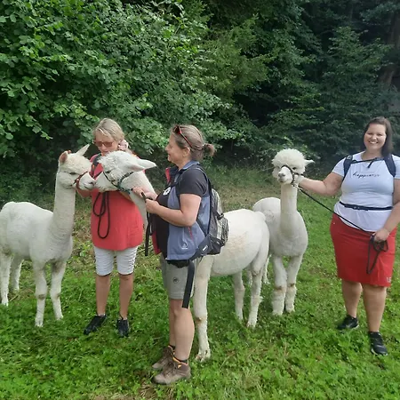 Apartment Sweet Alpacas Timelkam